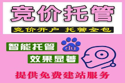 百度竞价代运营成功案例解析